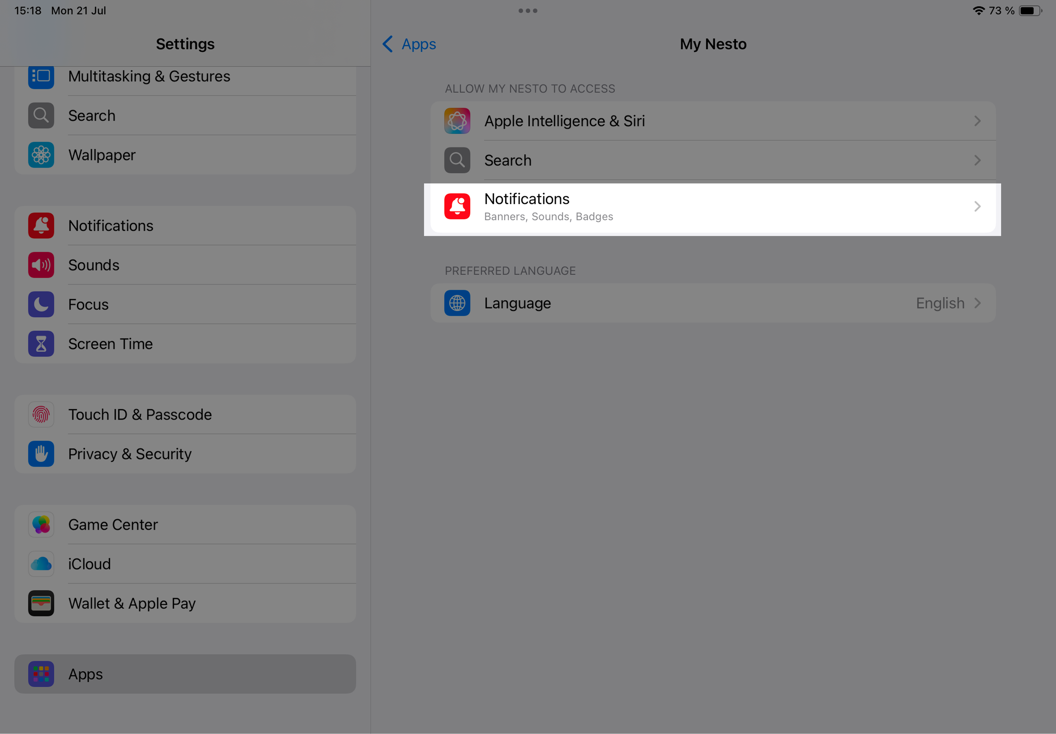 Nesto App Settings EN.png